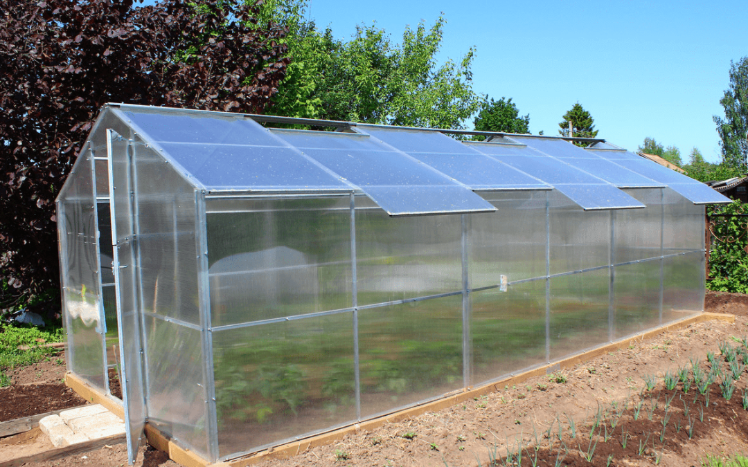 Why Polycarbonate is Perfect for Your Greenhouse